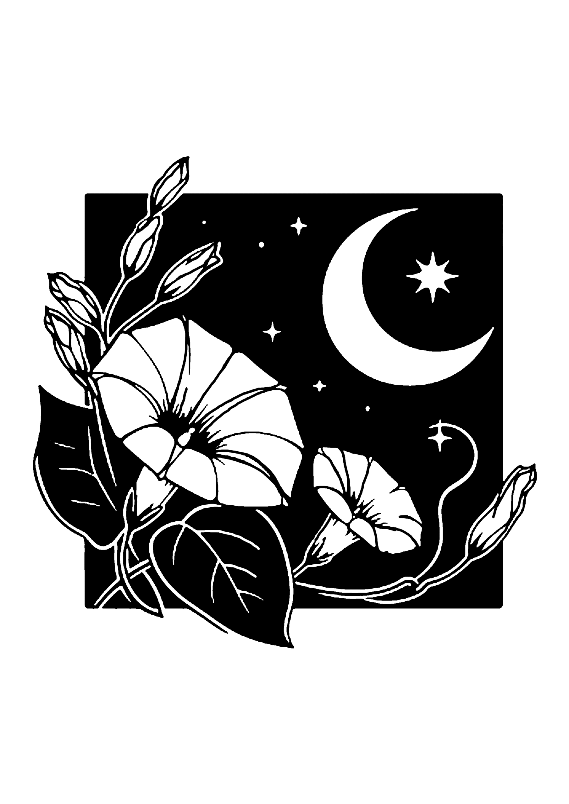 月夜に咲く朝顔の切り絵図案（無料・初心者・中級者向け）0199